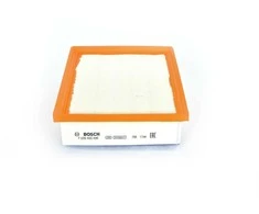 BOSCH oro filtras F026400496 165461783R