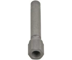BOSCH purkštuvas 0437502013 1269274