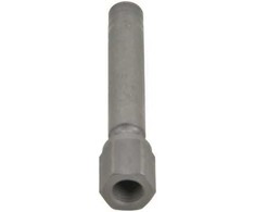 BOSCH purkštuvas 0437502013 1269274