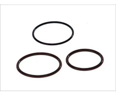 BOSCH remonto rinkinys, siurblio ir purkštuko blokas F00H4S0001 OEN504110736