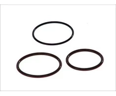 BOSCH remonto rinkinys, siurblio ir purkštuko blokas F00H4S0001 OEN504110736