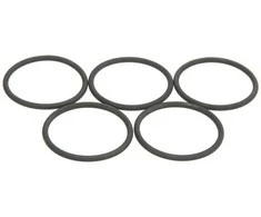 BOSCH sandarinimo žiedas 2460210009 B00E5UYVUG