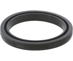 Bosch/Siemens džiovyklės kondensato talpyklos sandarinimo žiedas 72mm originalus 00613959