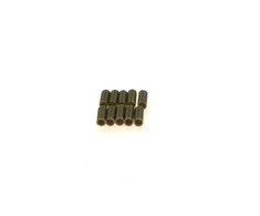 BOSCH spyruoklė 1414613002 A0010740493
