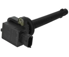BOSCH uždegimo ritė 0221504017 224481F700