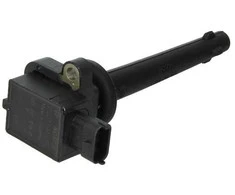 BOSCH uždegimo ritė 0221504017 224481F700