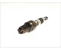 BOSCH uždegimo žvakė 0242229799 01V409057