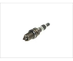 BOSCH uždegimo žvakė 0242229799 01V409057