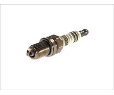 BOSCH uždegimo žvakė 0242245536 01V409057