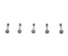 BOSCH varžtas 1003421016 90148W0012