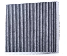 BOSCH žiedadulkių filtras 1987435590 T2H8151