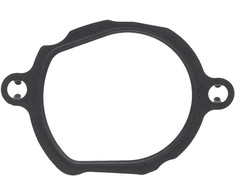 Elring Termostato korpuso tarpiklis MERCEDES BENZ S KLASĖ W221 A2722030180