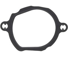 Elring Termostato korpuso tarpiklis MERCEDES BENZ S KLASĖ W221 A2722030180