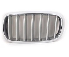 Genuine Priekinis Radiatorius Titano Inkstų Grotelės Kairė Tinka BMW X5 F15 2014-