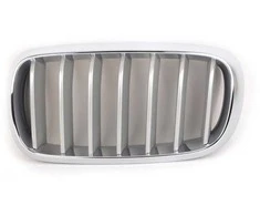Genuine Priekinis Radiatorius Titano Inkstų Grotelės Kairė Tinka BMW X5 F15 2014-
