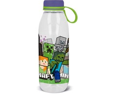 "Minecraft" sportinis buteliukas 650 ml