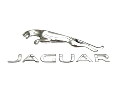 Jaguar I Pace HSE Galinė Ženklinė Originalus T4K2031