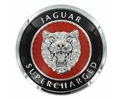 Jaguar XK 8 X100 Priekinis Bamperio Grotelės Emblema Ženklelis HJB5900AA NAUJAS ORIGINALUS