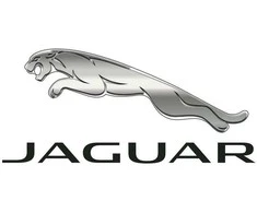 JAGUAR XK Kabriolet X150 Priekinis Bamperis Kairysis Grotelė C2P13688XXX NAUJAS ORIGINALUS