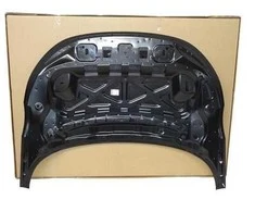 LAND ROVER RANGE ROVER EVOQUE L551 Kapotas LR135581 Naujas Originalus