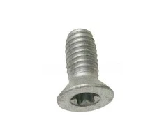 Land Rover Range Rover Evoque Stabdžių Disko Laikymo Torx Varžtas M10x20mm Originalus LR002080