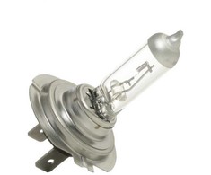 MAGNETI MARELLI Lemputė, prožektorius 002537100000