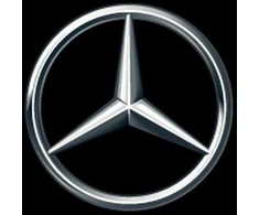 Mercedes Benz Ml 270 Cdi W163 Sternas Originalus A1637580058