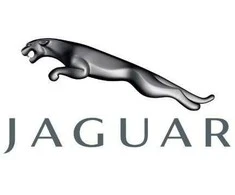NAUJAS Jaguar Vanden Plas XJR XJ8 Ratlankio Dangtelis Pilkas OES Originalus MNC 6240AA