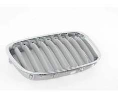 Naujas originalus BMW 5 serijos F07 GT priekinis dešinysis inksto groteles 7202110 OEM