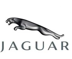 Naujas originalus Jaguar vamzdis C2Z18658 OEM