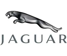Naujas originalus Jaguar vamzdžio išleidimas AJ813865 OEM