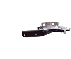Nissan Rogue Priekinis Dešinys Gėlės Šarnyras Originalus 654006RA0A