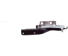 Nissan Rogue Priekinis Dešinys Gėlės Šarnyras Originalus 654006RA0A