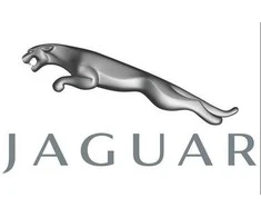 OEM JAGUAR F-PACE PRIEKINE KAIRĖS PUSĖS KAPOTAS T4A15477 ORIGINALUS
