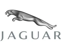 OEM JAGUAR F-PACE X761 AUŠINIMO VANDENS ŽARNOS C2Z26930 ORIGINALI