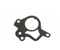 OEM LAND ROVER RANGE ROVER SPORT L494 VAKUUMO PUMPOS GUMOS LR096060 ORIGINALI