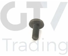 Originalus BMW 1 2 3 4 5 6 7 X1 X3 X4 X5 X6 Z4 2005 ir vėliau Torx varžtas 11417520144