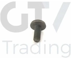 Originalus BMW 1 2 3 4 5 6 7 X1 X3 X4 X5 X6 Z4 2005 ir vėliau Torx varžtas 11417520144