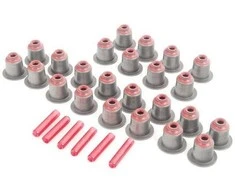 Originalus BMW E38 E39 E46 E53 E60 vožtuvo stiebo sandarinimo žiedų remonto rinkinys OEM 11349071732