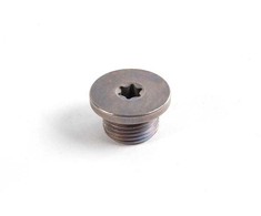 Originalus BMW E39 E46 Z3 kupė Individualus vidinis Torx varžto kištukas OEM 24111423986