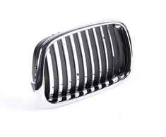 Originalus BMW E39 sedanas priekinis radiatoriaus inksto juodas groteles N/S OEM 51137005837