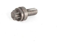 Originalus BMW vandens siurblio aliuminio Torx varžtas M8X20mm 12527557037
