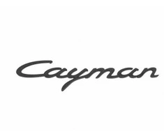 Originalus PORSCHE Cayman 981C Įrašas 98155923901