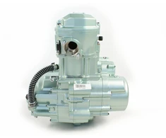 Other ATV 200 BASHAN NEVADA VARIKLIS 4 PAVAROS + ATBULINĖ EIGA