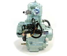 Other ATV 200 BASHAN NEVADA VARIKLIS 4 PAVAROS + ATBULINĖ EIGA