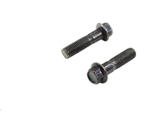 Other M10x40mm varžtas amortizatoriaus tvirtinimui gale, skersinis 125, veržliaraktis 12mm, 2 vnt.