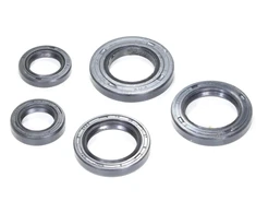 Other MALAGUTI CROSSER 50 RMS SEAL KIT