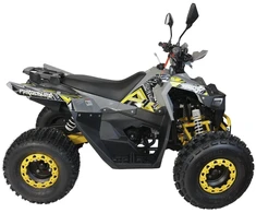 Other QUAD ATV 125 SEEYA PAROON P6 PILKAI GELTONI 1+1 8 colių PLIENINIAI RATAI