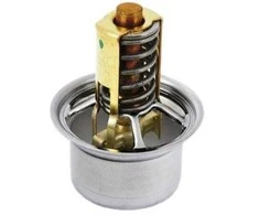 PORSCHE 997 Termostato įdėklas originalus 9A110622503