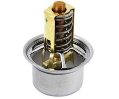 PORSCHE 997 Termostato įdėklas originalus 9A110622503
